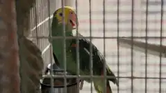 Убийства в одном здании 2 сезон 9 серия